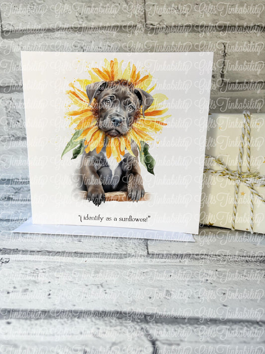 XL Bully Sunflower Card